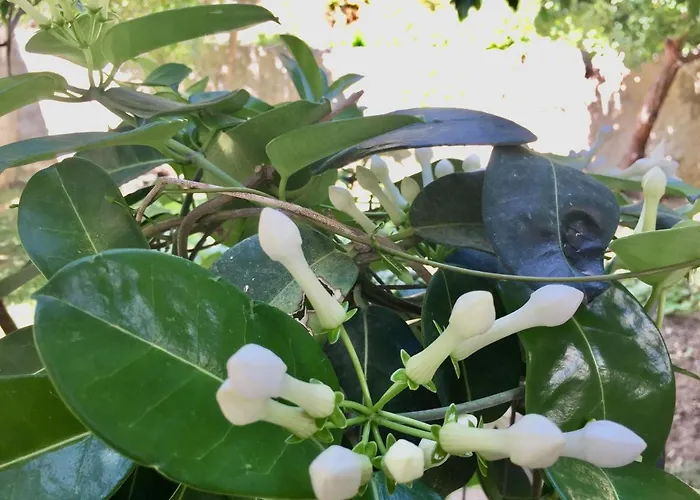 Rethymno Blue Residence Retimno