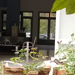 Apartment Blue
